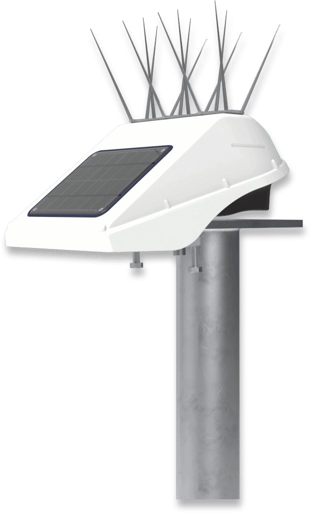 settlementbeacon_final_95
